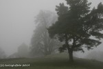 Burgberg im Nebel